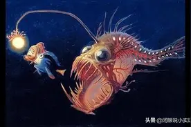 动物的6条有趣的交配知识图片
