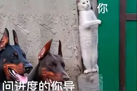 研究生吐槽导师“名场面”：导师太会“画大饼”，我招架不住图片