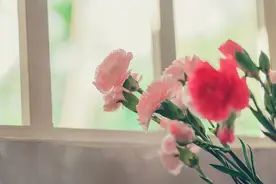 梦里经常出现的人，也深深惦记着你图片