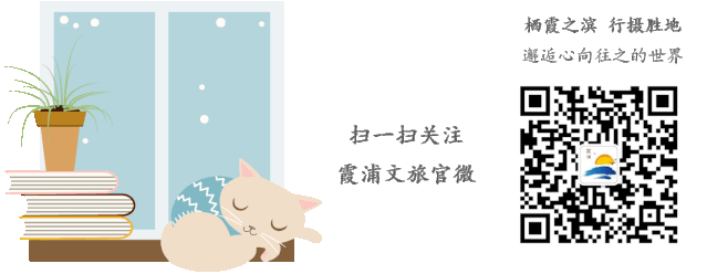 七头鳕鳘花胶多少钱 2026年鳕鳘鱼花胶多少钱一斤