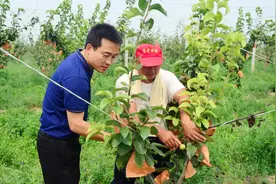 潍坊市优秀党务工作者厉彦刚：让青春在燃烧中奉献图片