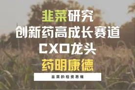 韭菜研究之创新药高成长赛道CXO龙头——药明康德图片