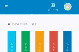高中综合素质测评——自我陈述报告图片