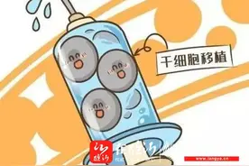 科普小讲堂---什么是干细胞移植？具体流程是什么？图片