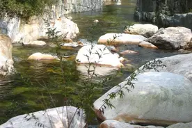 穿越秦岭大寺-山谷里寂寞的角落里也有鲜花开放图片