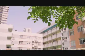 2020幼升小指南丨对话校长：南京市建邺路小学校长 吴洁图片