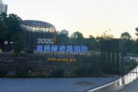 实拍重庆熊婆婆的花园，看看里面到底美不美图片