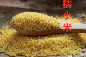 买小米：要分清“黄小米”和“糯小米”，差别很大，买错不好吃图片