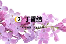 六年级语文上册第二课《丁香结》课文解析，预习专用资料图片