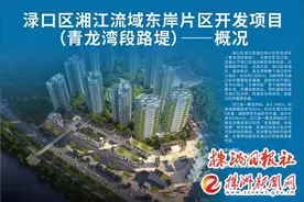 刚刚！渌口区湘江流域东岸片区青龙湾段路堤正式开工建设图片