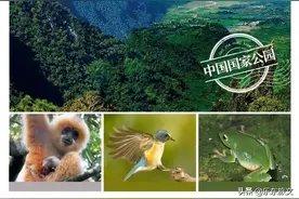 首批国家公园名单公布！海南热带雨林国家公园入选→图片
