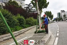 环山路冒出一蓝衣、红帽男子售卖"野生龟"！看到后你应该这样做图片