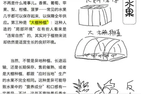 反季水果是怎么来的？吃反季水果对身体有害么？图片