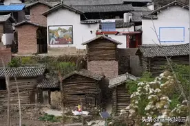 四个家庭见证的早期阅读十年，附十个爱书少年给同龄人的推荐书单图片
