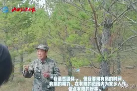 山西：为荒山穿上“绿装”的将军图片