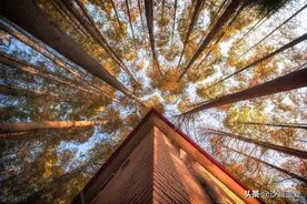 华东师范大学：对不起，上海财经大学，我的应届生可直接落户上海图片