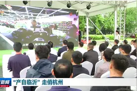 实施“三步走”对接长三角‖“产自临沂”走俏杭州图片
