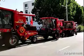 钟爱“东方红”图片