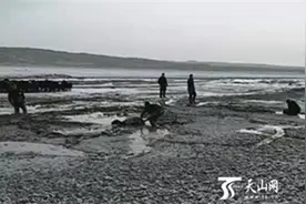 老人和羊陷入沼泽 民警满身泥浆艰难救出图片