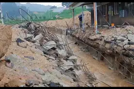 孩子被土堆掩埋，狗妈妈嚎叫向村民求救，最终成功挖出4只小狗图片