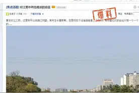 还原真相：钦州网友反映钦江平山段有人用弹弓打的“野鸭”原来是家禽！图片