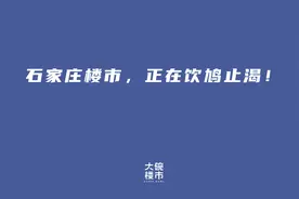 石家庄楼市，正在饮鸩止渴图片
