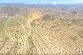 【短视频】甘肃庄浪县城二郎山延伸区域万亩生态林建设工程图片