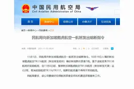 新加坡至郑州航班确诊7例 中国民航局发出熔断指令图片