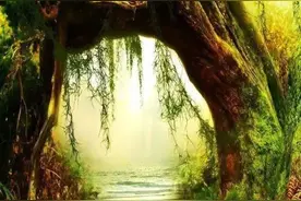 一性情中人用香烟名串成一首情诗，太有才了，发给大家乐一乐图片