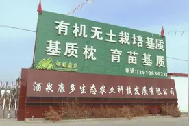 甘肃肃州区：农业废弃物变废为宝  绿色产业实现生态循环图片