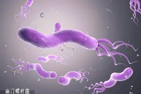 体检发现幽门螺杆菌阳性，该如何应对？图片