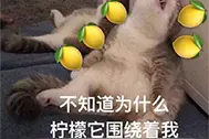 程序员面试被HR怒怼：6年跳槽7次，谁敢要你？结果却被网友怼懵图片