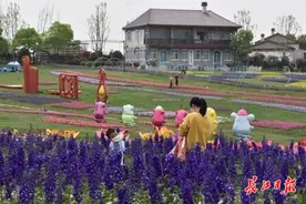 武汉花博汇花正盛，游客来逛要出示健康码图片