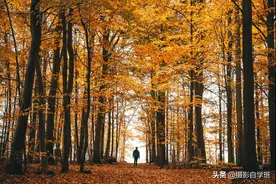 别贪多，先学会这3个手机摄影参数，让你手机拍的照片提高个档次图片