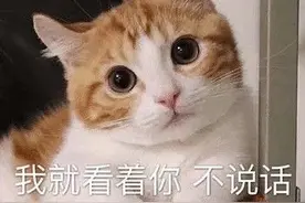 「表情包」我会让你无法拒绝的图片