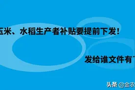 大豆、玉米、水稻生产者补贴要提前下发！发给谁文件有了明确规定图片