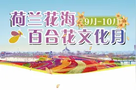 江苏盐城大丰：荷兰花海9月-10月百合花文化月图片