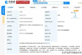 顺丰成立鄂州顺丰国际空运公司图片