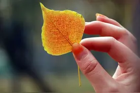 散文：岁月改变，知味人生图片