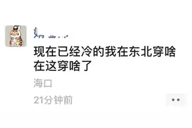 海南气温将现-2℃？辟谣！挨冻的橡胶树亟需关注图片