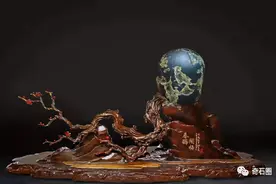震撼！大自然画的鸟如此形象图片