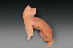 甘肃馆藏精品丨木虎图片
