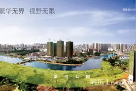 金科、力标相继推盘，2020年孝感南城区的发展快吗？图片
