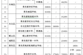 青岛13所民办学校收费标准调整，涉及超银、新世纪、青大附中图片