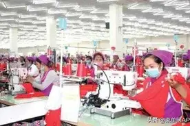 柬埔寨新冠确诊病例“清零”，有人更忙，有人失业图片