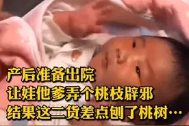 “最憨厚爸爸”火了，扛着桃枝去医院接宝宝，网友：桃树惹你了？图片