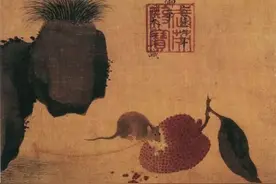 鼠年说鼠：长期背负“骂名”的老鼠，被人称赞的一面却鲜为人知图片