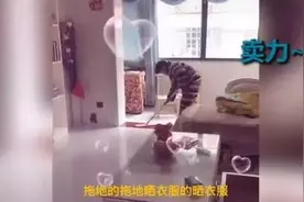 跟家里的“熊孩子”斗智斗勇，这可能是唯一胜利的妈妈图片