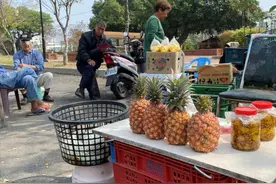 中国台湾菠萝卖给澳大利亚 澳农民：本土菠萝供应充足无需进口图片