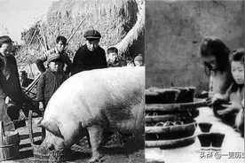 猪身上的这块毛，是抗美援朝时的战略物资，我国出口量排世界第一图片